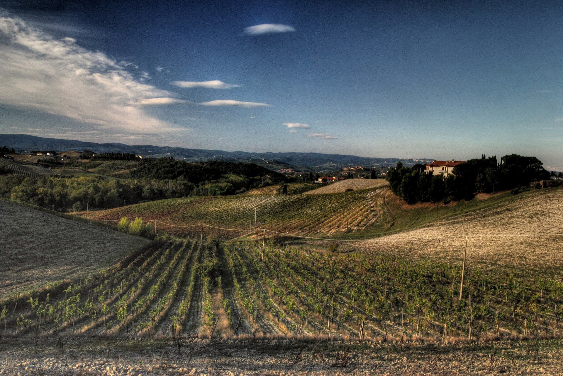 Bramasole Cortona Doc - Image 4