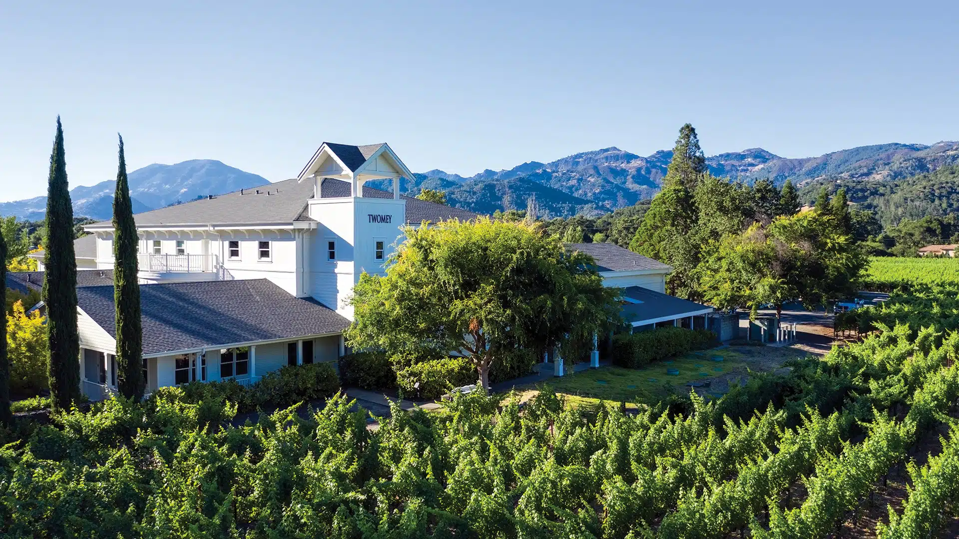 Twomey Anderson Valley Pinot Noir - Image 4