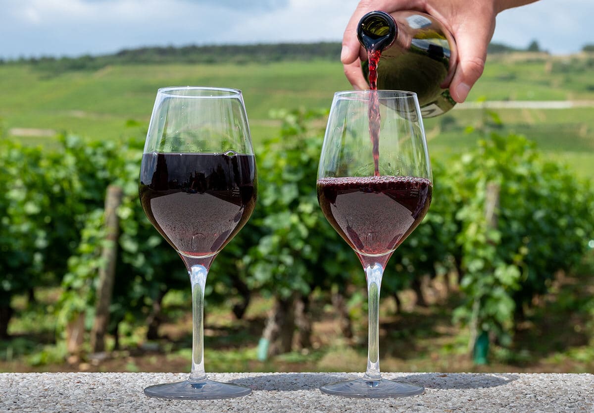 Twomey Anderson Valley Pinot Noir - Image 2