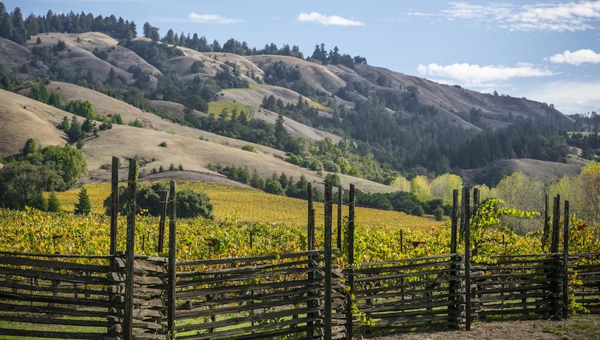 Twomey Anderson Valley Pinot Noir - Image 3