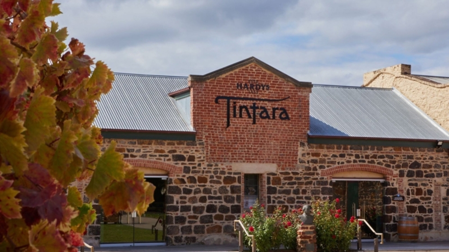Hardy's Tintara Reserve Shiraz - Image 3