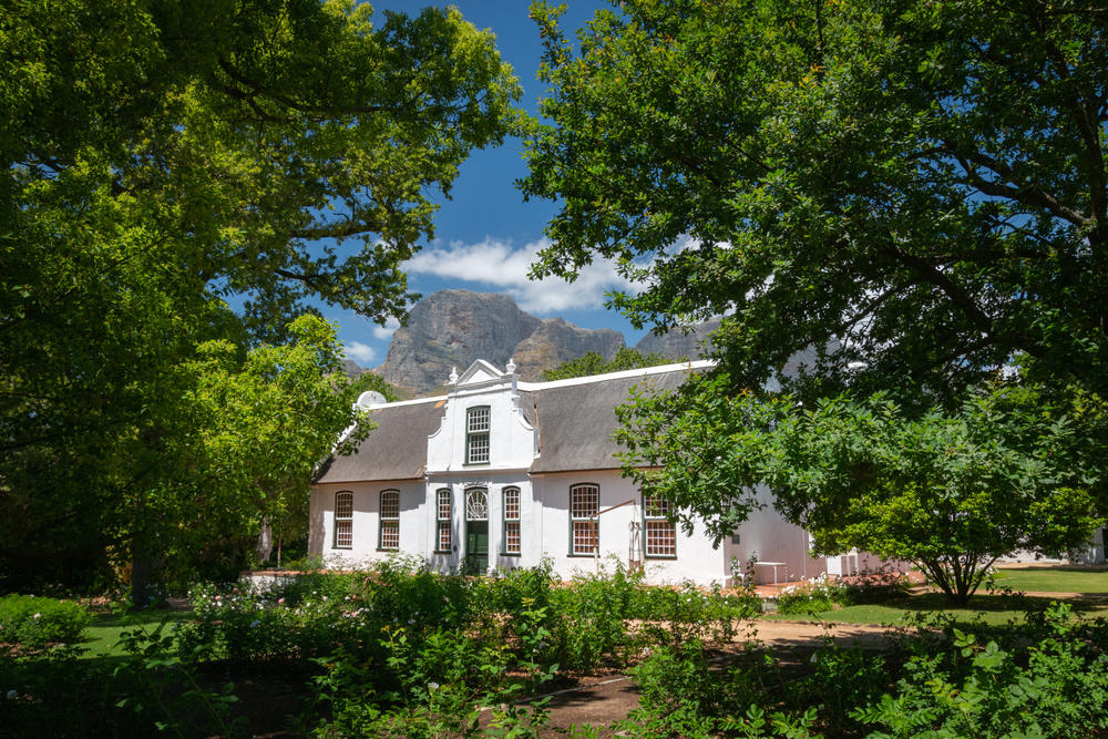 Boschendal Black Angus - Image 2