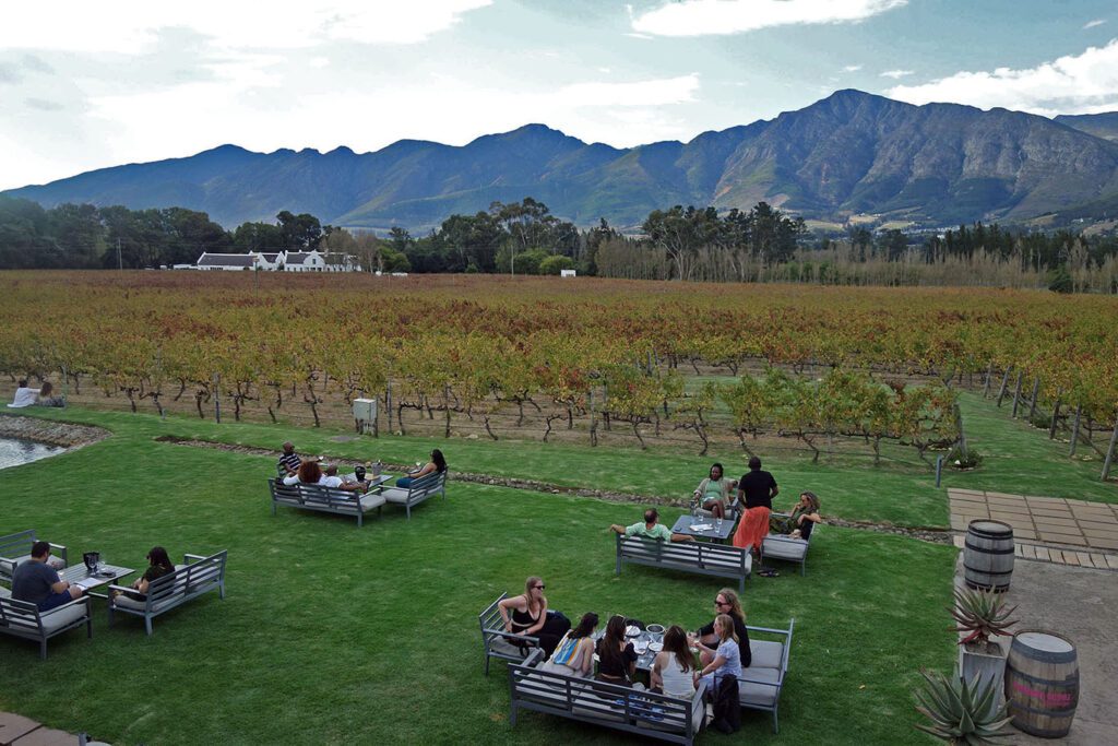 Boschendal Black Angus - Image 3