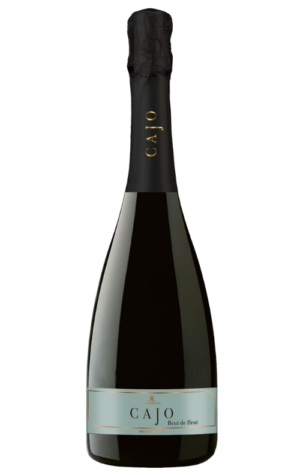 Dacastello Cajo Brut de Brut Millesimato 750ml