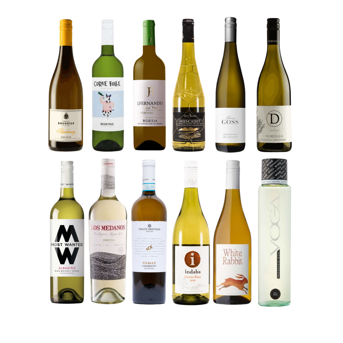 SHSH Premium Case <hr>White Wine - Image 2